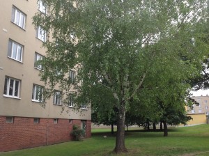 byt_3+1_modrice