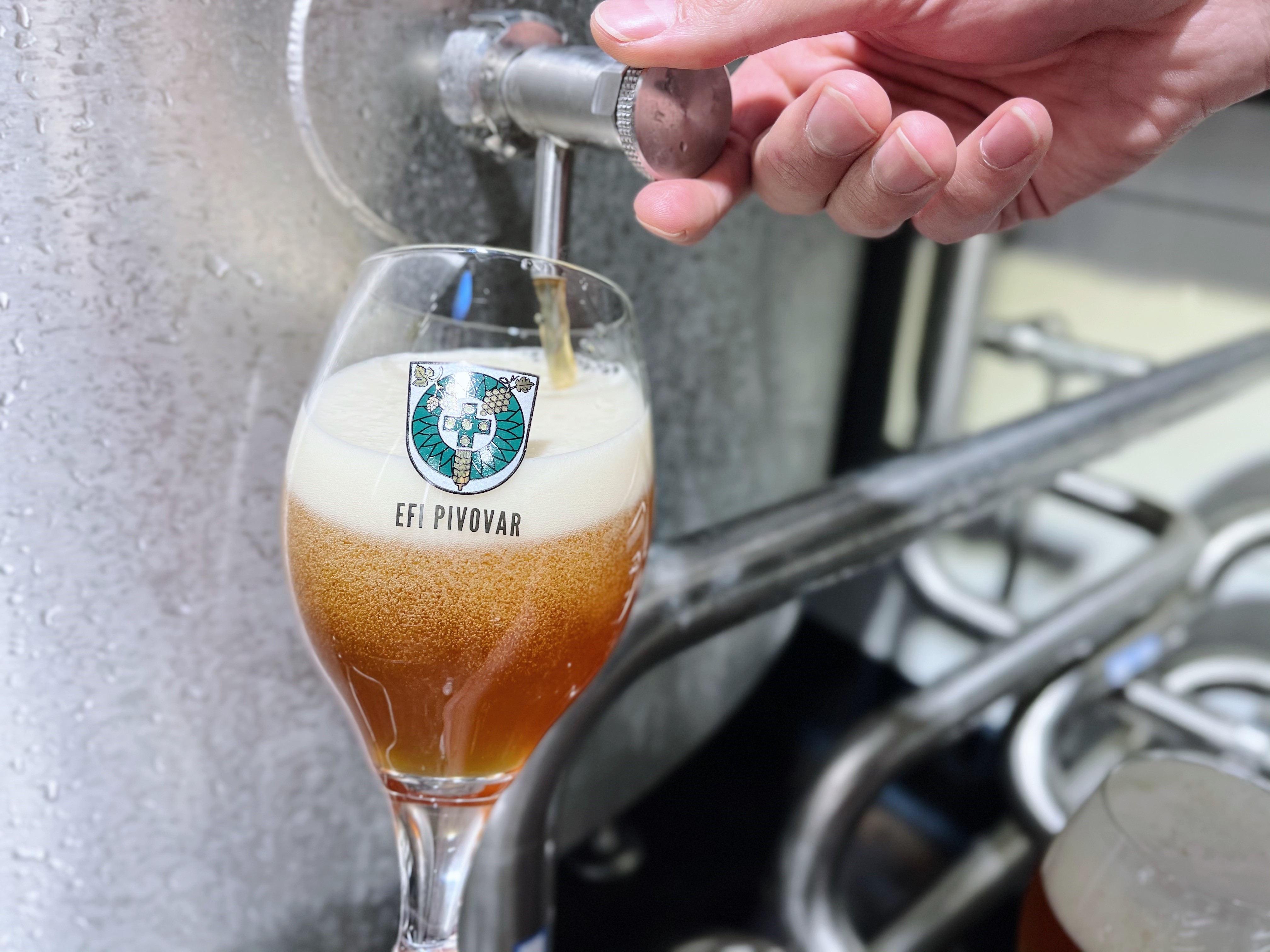 Stáčíme speciál American IPA!