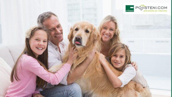 Pojištění psů