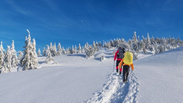 Zimní turistika v Jeseníkách v okolí Horní Lipové