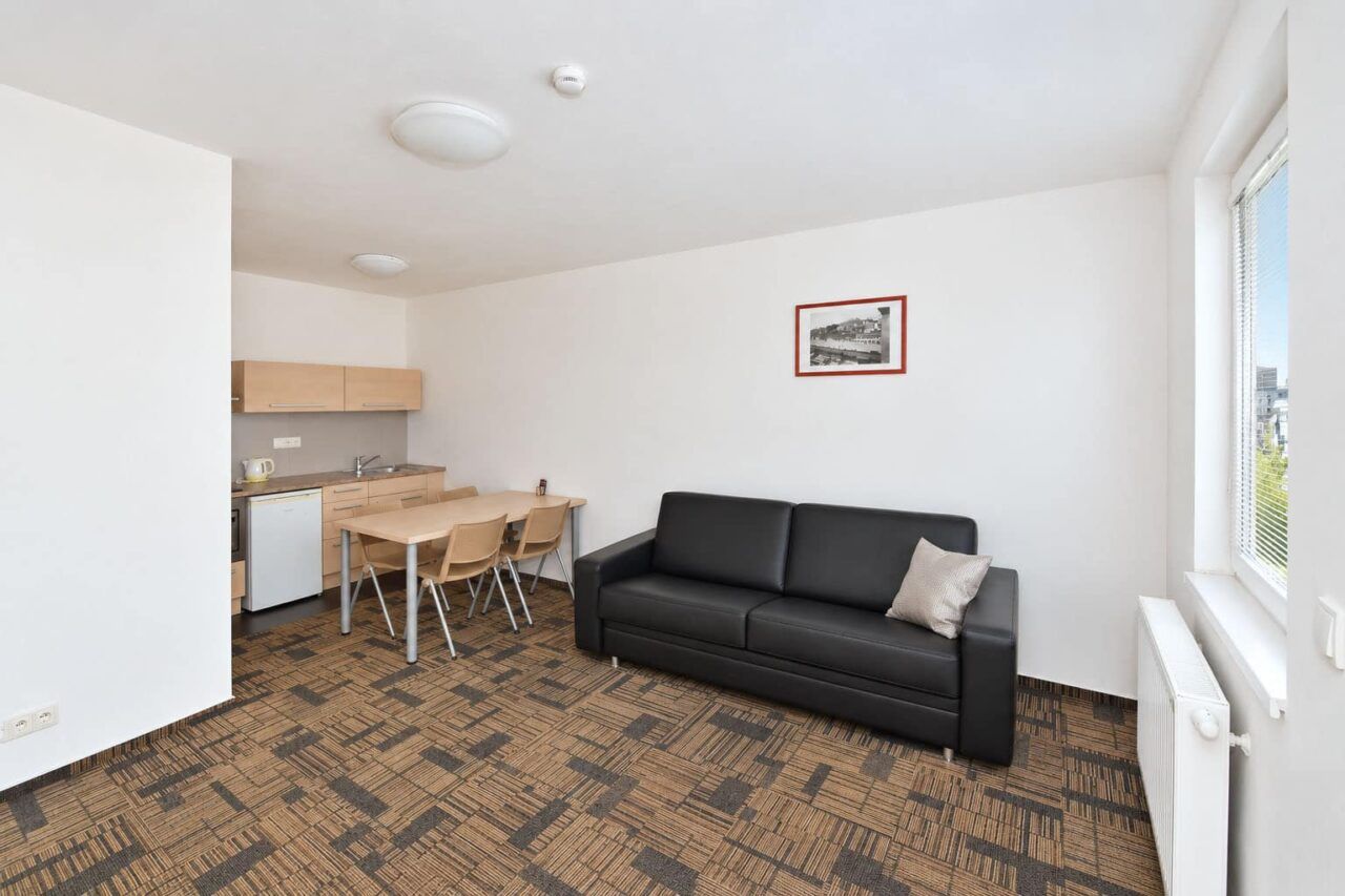 Living room 3 — Executive apartment, 2 bedrooms