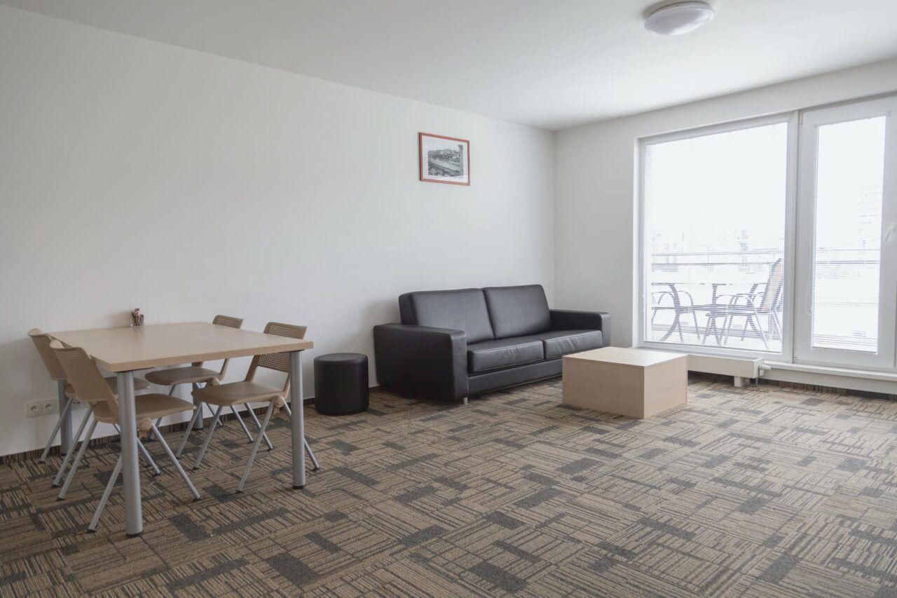 Living room 4 — Executive apartment, 2 bedrooms