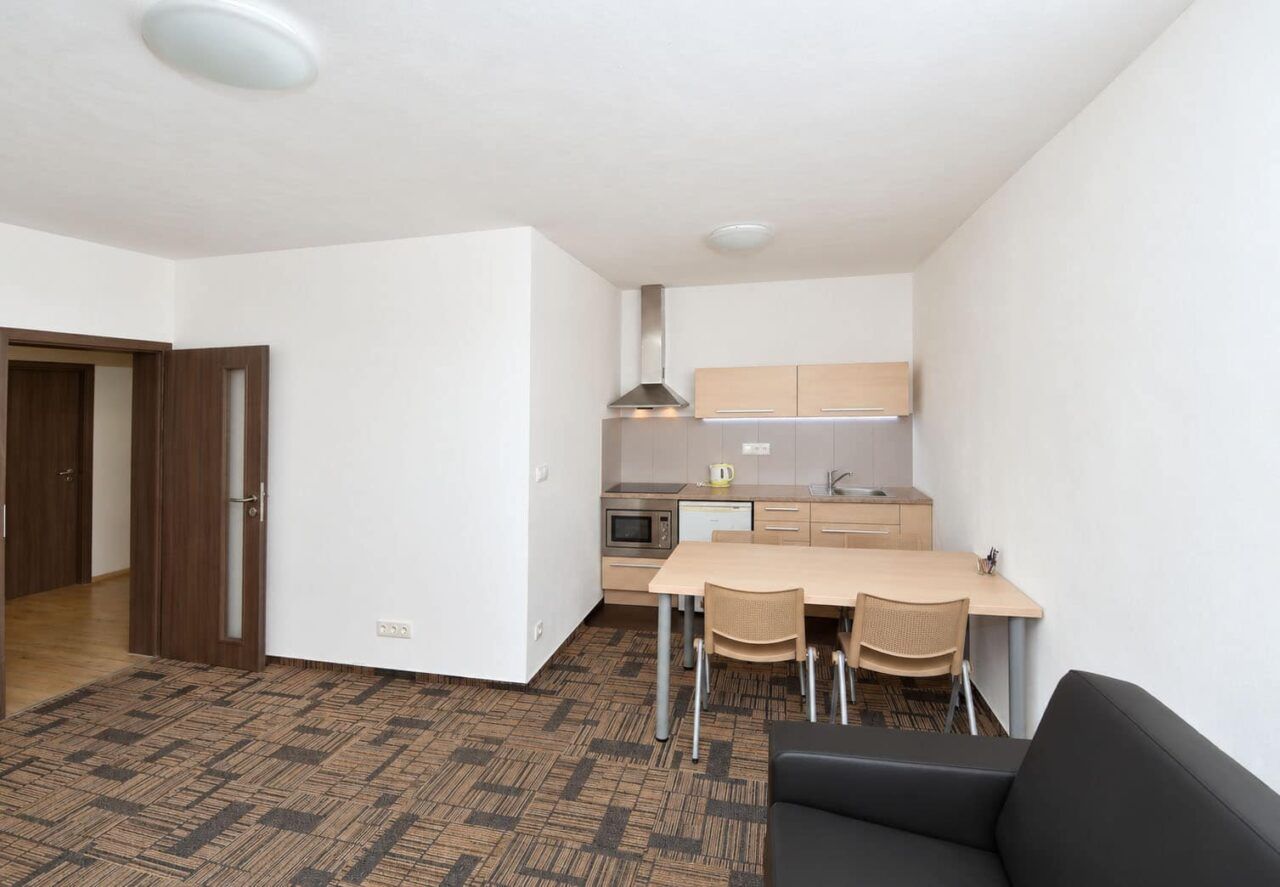 Kitchenette 2 — Executive apartment, 2 bedrooms