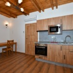 Dvoulůžkové studio s kuchyňským koutem_kuchyně s jídelním koutem