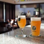 EFI Summer Ale