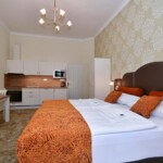 Dvoulůžkový pokoj Deluxe Diamond s velkou manželskou postelí a kuchyňským koutem