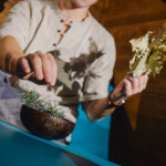 Bylinky k rituálům