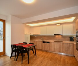 Kuchyň v projektu EFI Residence Holzova 28 v Brně-Líšni v bytě 3kk Kuchyň v projektu EFI Residence Holzova 28 v Brně-Líšni v bytě 3kk