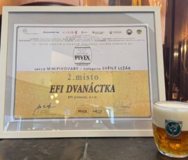 Oceněná EFI Dvanáctka