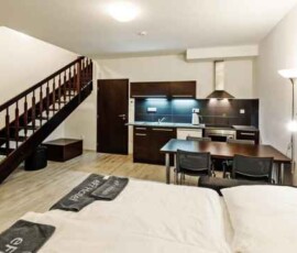 EFI Palace nabízí vybavené apartmány českým i zahraničním studentům. Ubytování pro studenty v Brně v EFI Palace