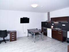 Pronájem bytu v Brně, s terasou, 3+kk , 121 m2 - 140 m2