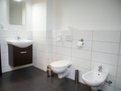 Pronájem bytu 2+kk nebo 3+kk v Brně, 100 m2, s terasou a balkonem
