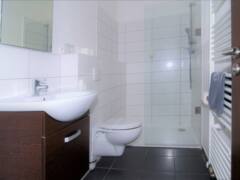 Koupelna se sprchovým koutem, umyvadlem a WC