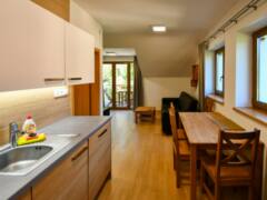 Prodej horského apartmánu 2+kk, 54,09 m2, balkon a parkování, Horní Lipová