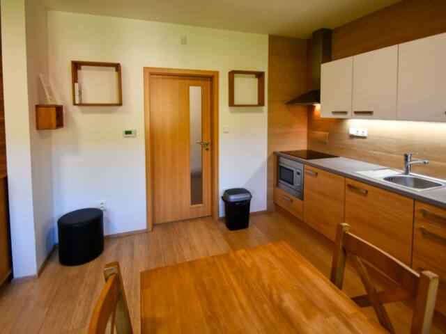 Prodej horského apartmánu 2+kk, 48,29 m², balkon a parkování, Horní Lipová