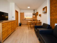 Prodej horského apartmánu 2+kk, 44,10 m², balkon a parkování, Horní Lipová